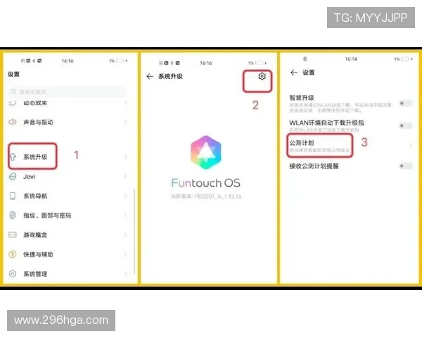 乐鱼体育的用户体验：从注册到参与的全流程